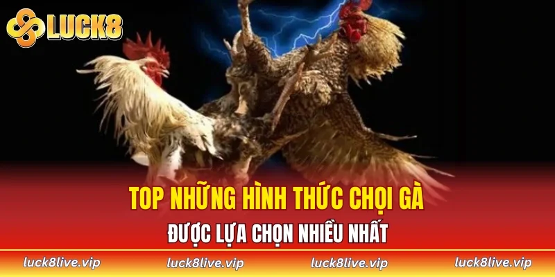 Top những hình thức chọi gà được lựa chọn nhiều nhất